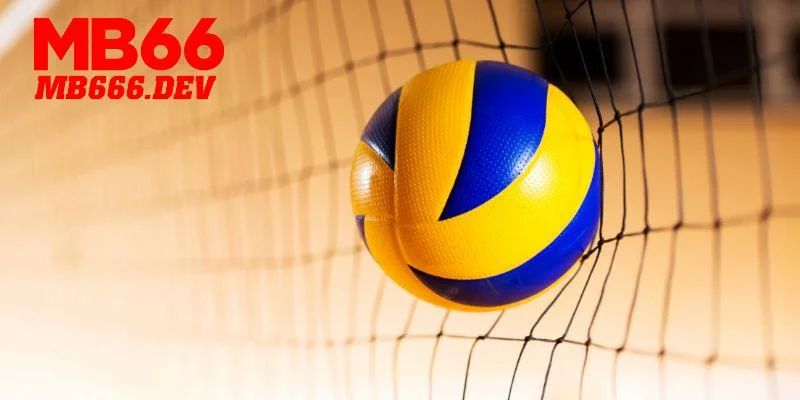 Bti Sports MB66 thu hút với sân chơi bóng chuyền đỉnh cao