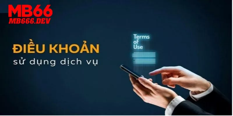 Điều khoản và quy định về vấn đề sử dụng dịch vụ tại kênh giải trí