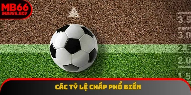 Top các tỷ lệ hot nhất 2025 mà bạn sẽ thường xuyên gặp phải