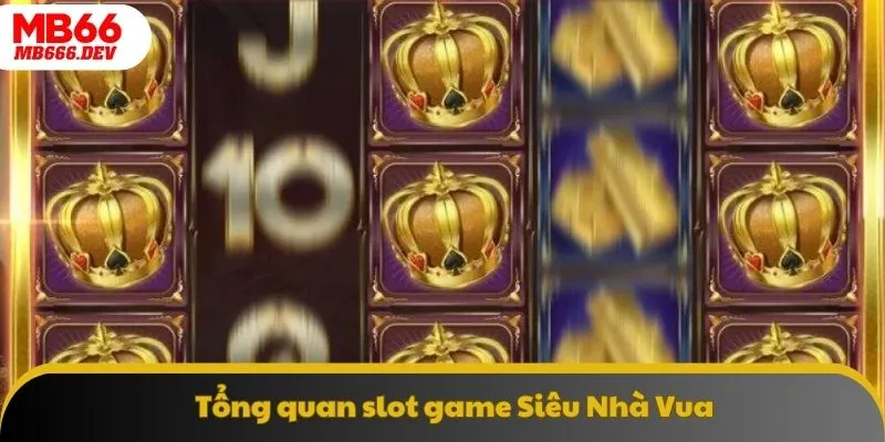 Tổng quan các nét chung về slot game Siêu Nhà Vua